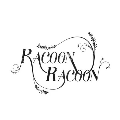 logo Raccoon Raccoon